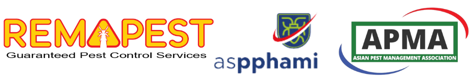 cropped-Rayap-hotel-2.png